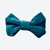 Bowties Spring Collection