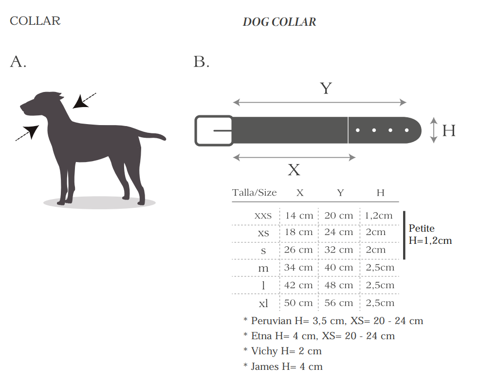 Chuck Collar