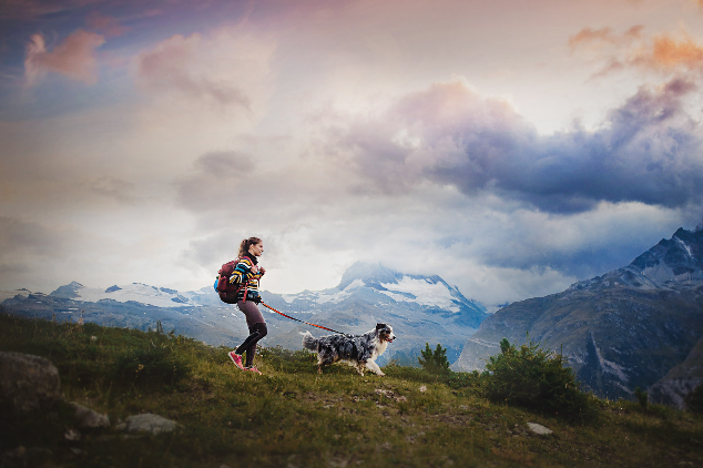 Trekking Belt