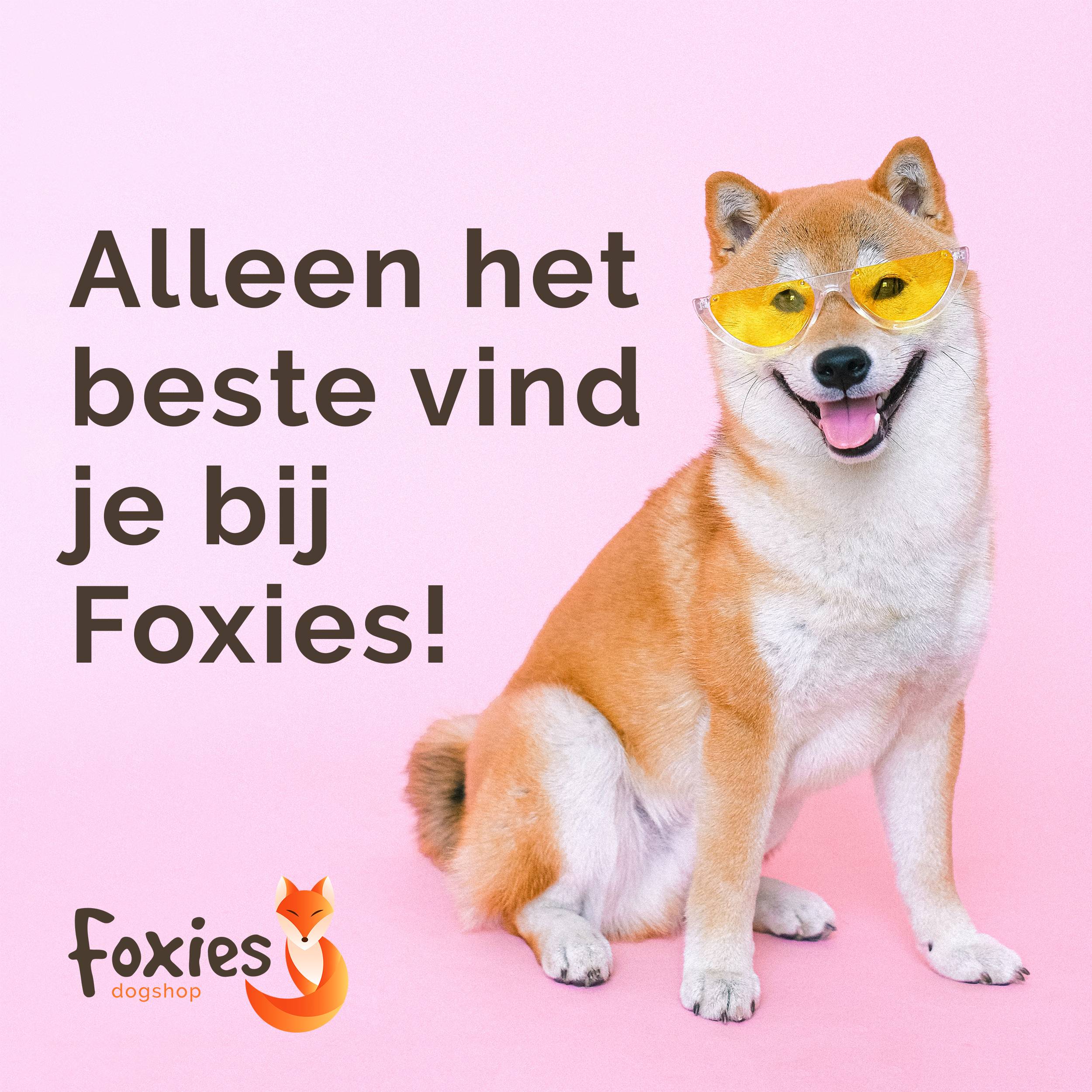 Foxies  dogshop banner