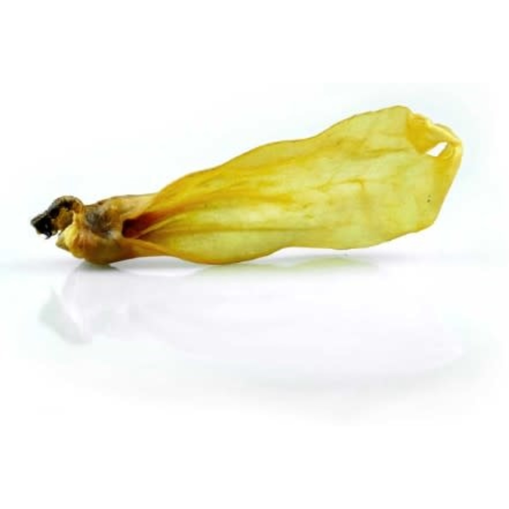 Pets best Pets best goat ears XL 200 gram