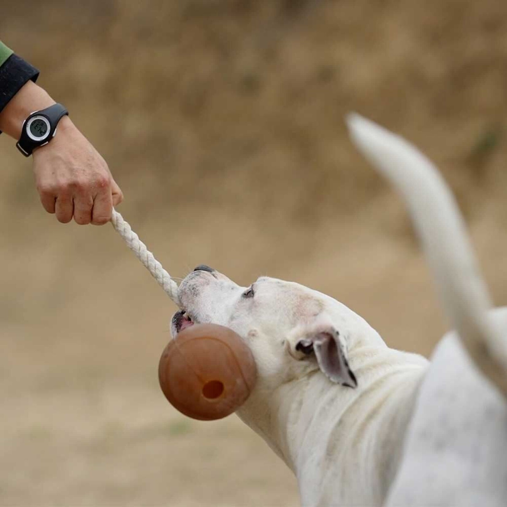 Retorn Retorn RUB ball rope dog toy - XL