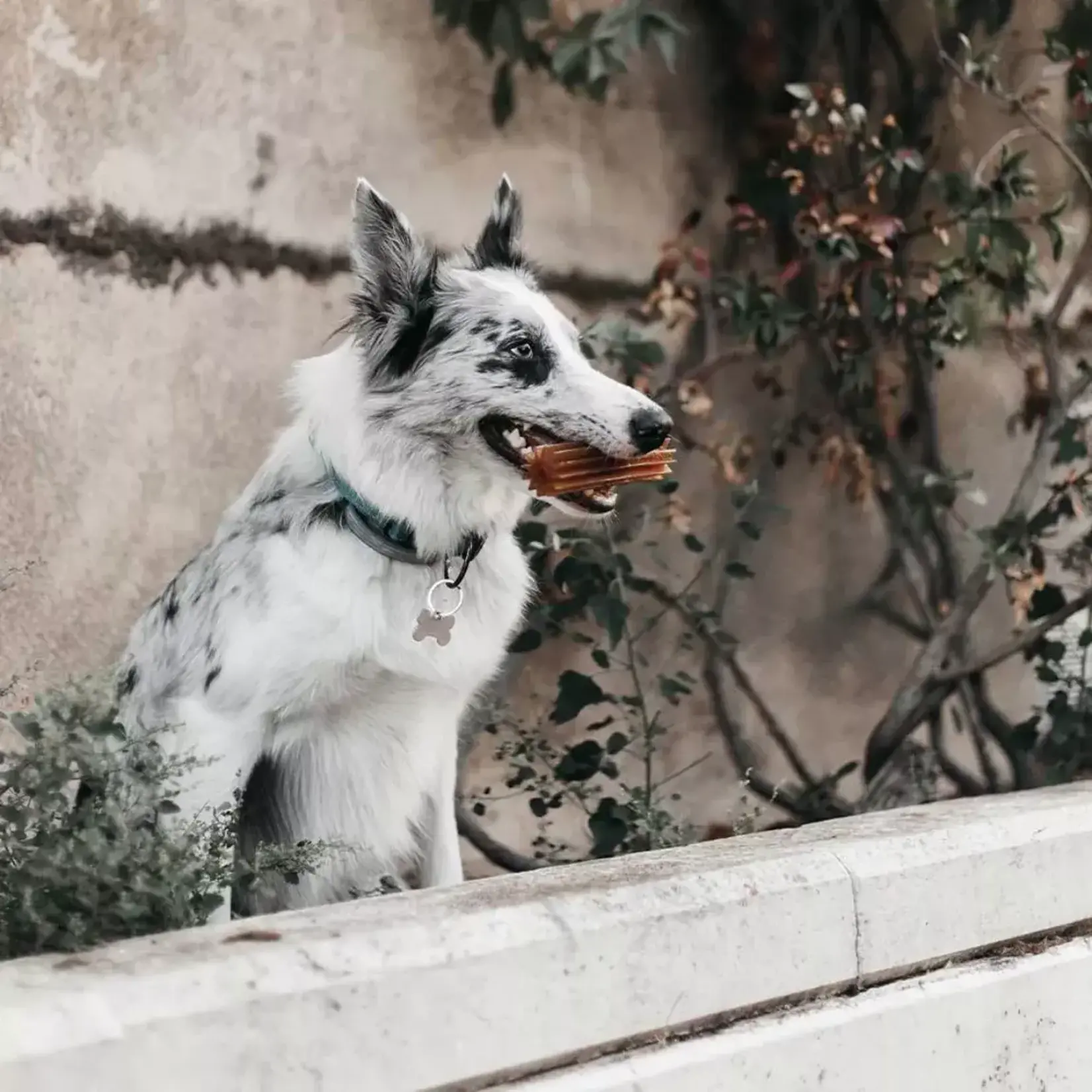 Retorn Retorn RUB  teether clean