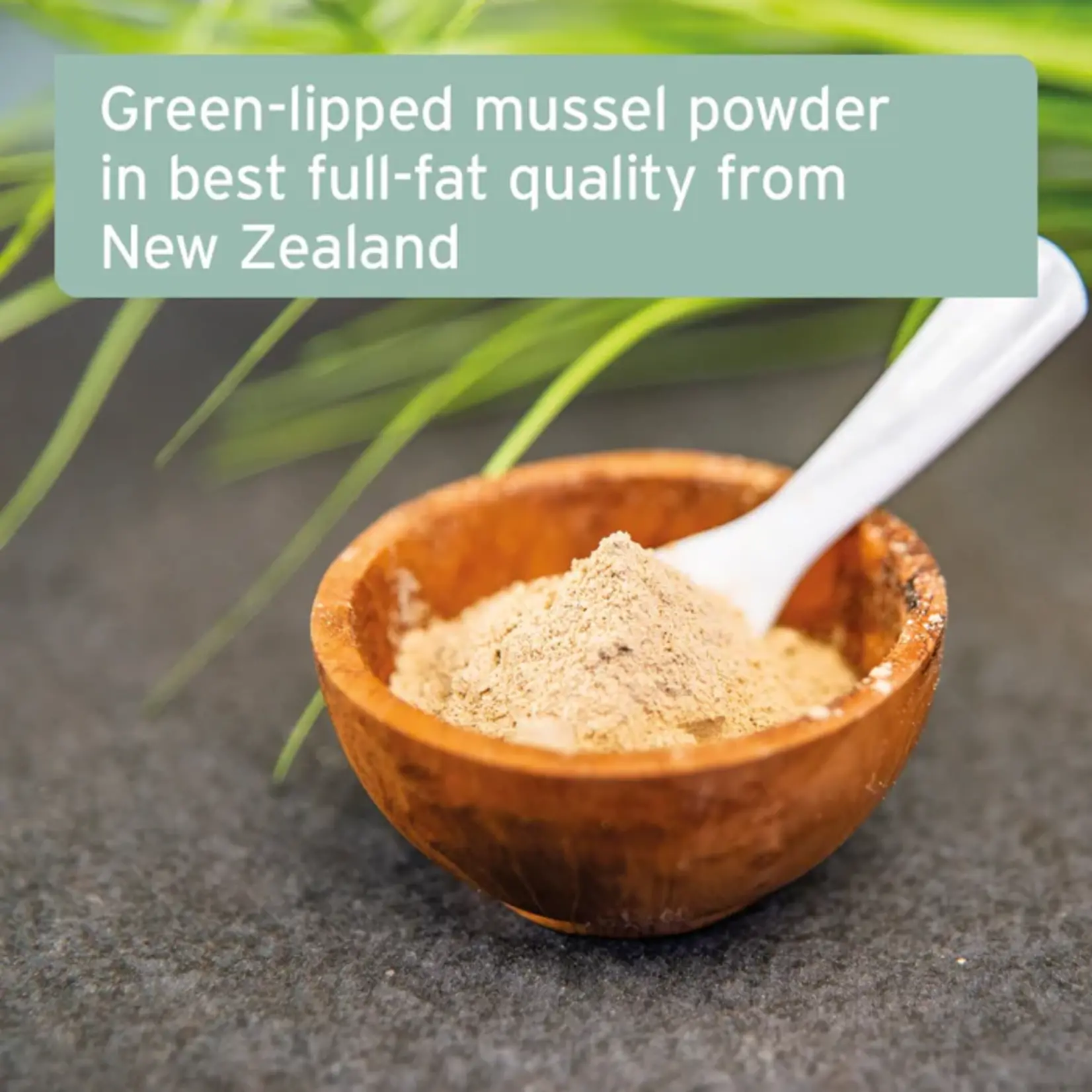 Aniforte Aniforte green lipped mussel powder 250gr