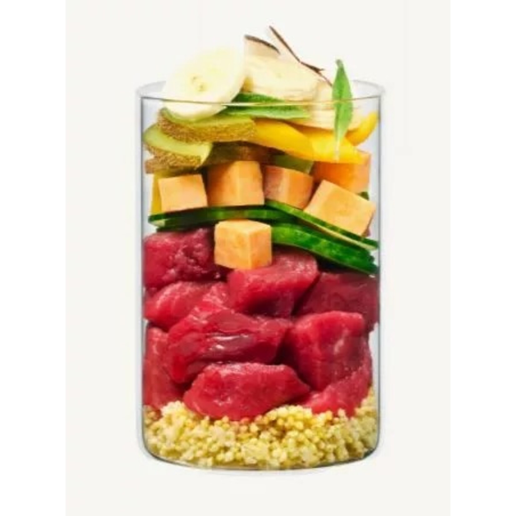 Terra Canis Terra Canis flower menu - hakuna pawtata 400gr