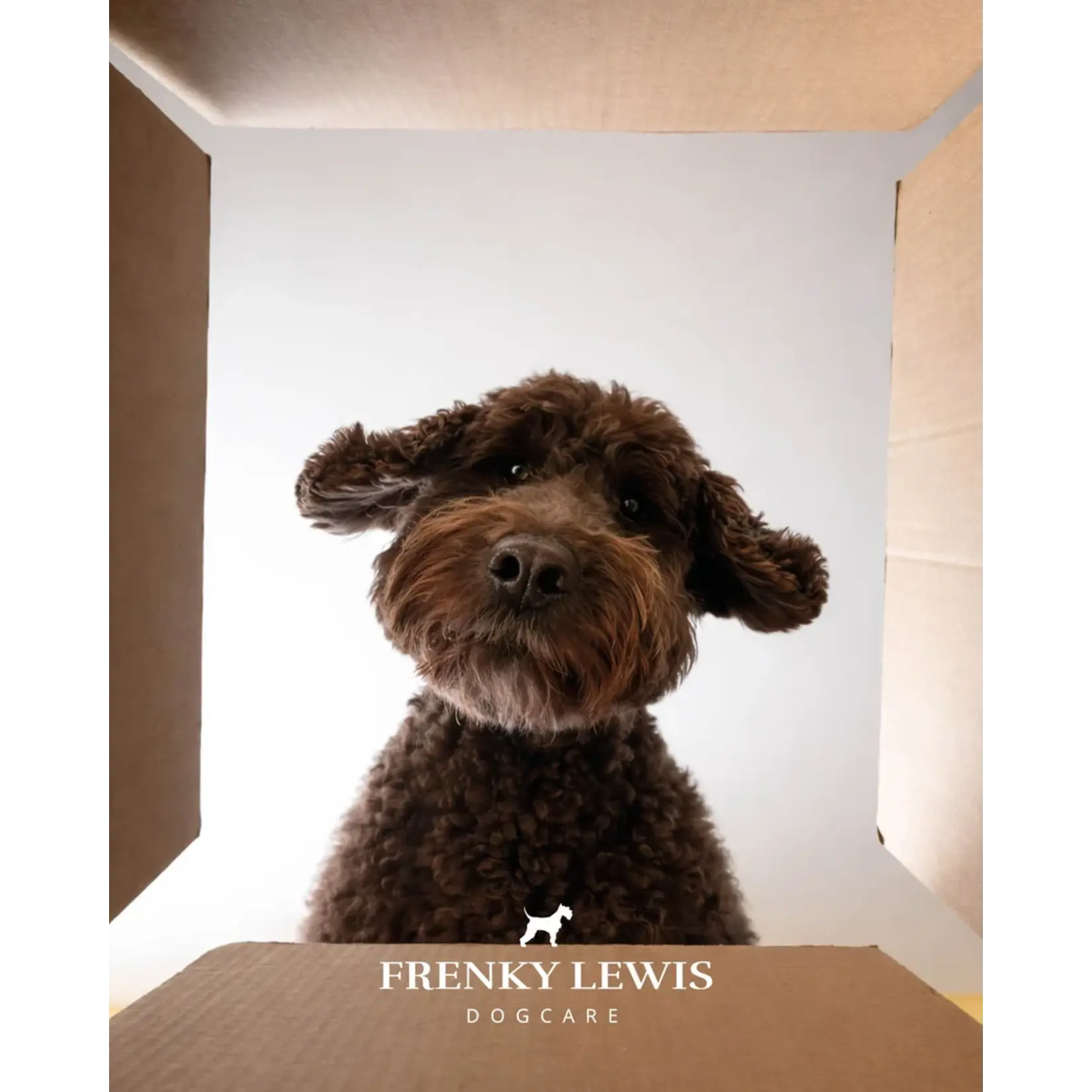 Frenky Lewis Frenky & lewis pure line