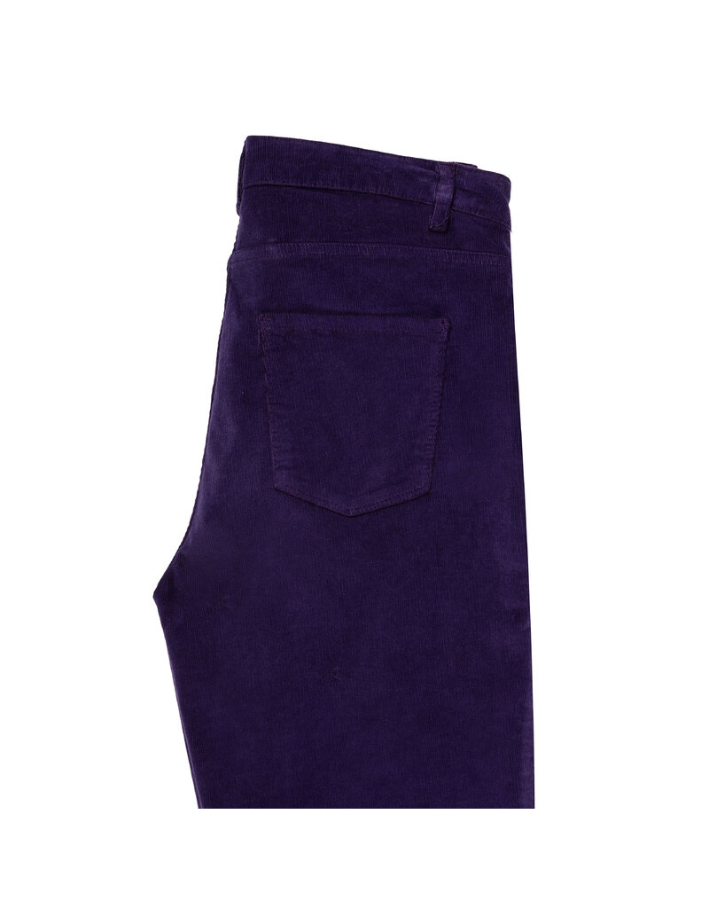 Green Ice Broek Inverno Purple