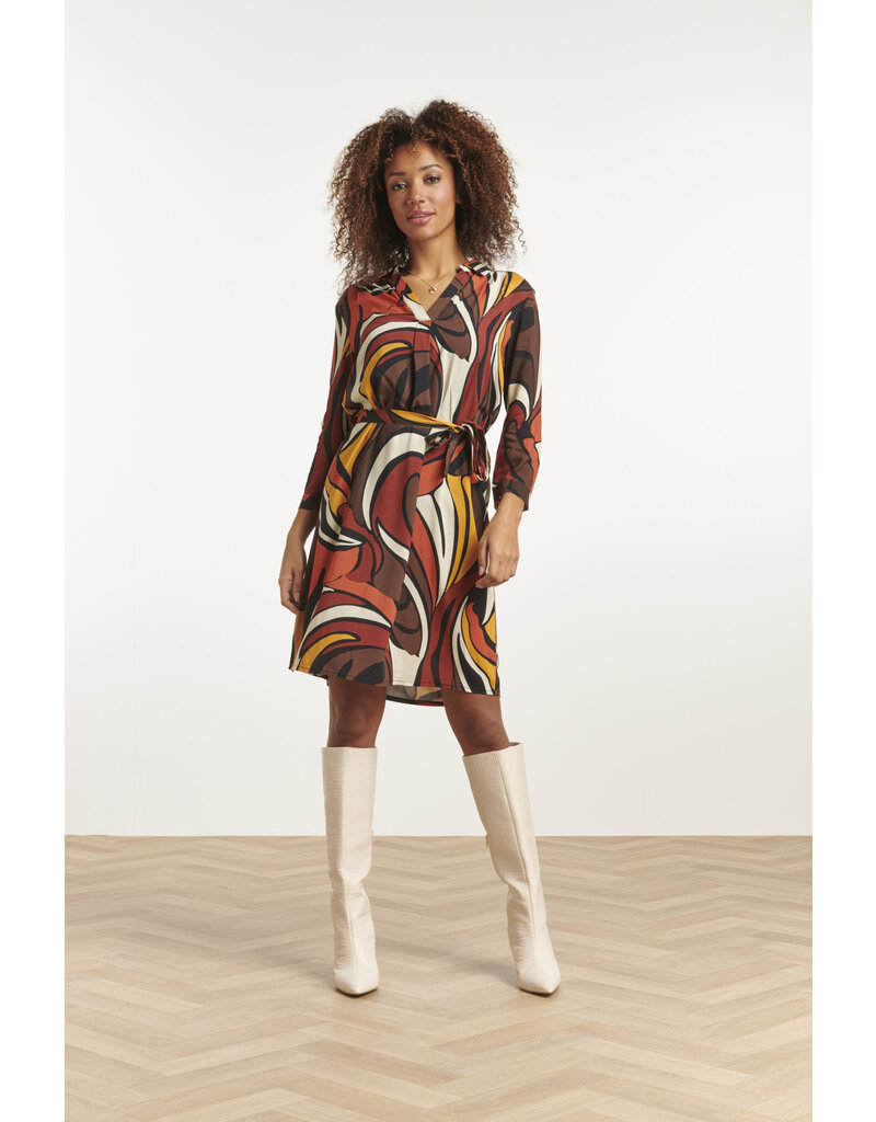 Smashed Lemon 23651 DRESS BROWN-MULTI