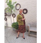 Bellita CARDIGAN KARO - LIGHT OLIVE 606