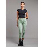 Toxik PANTALON L20029-C12 TILLEUL GREEN