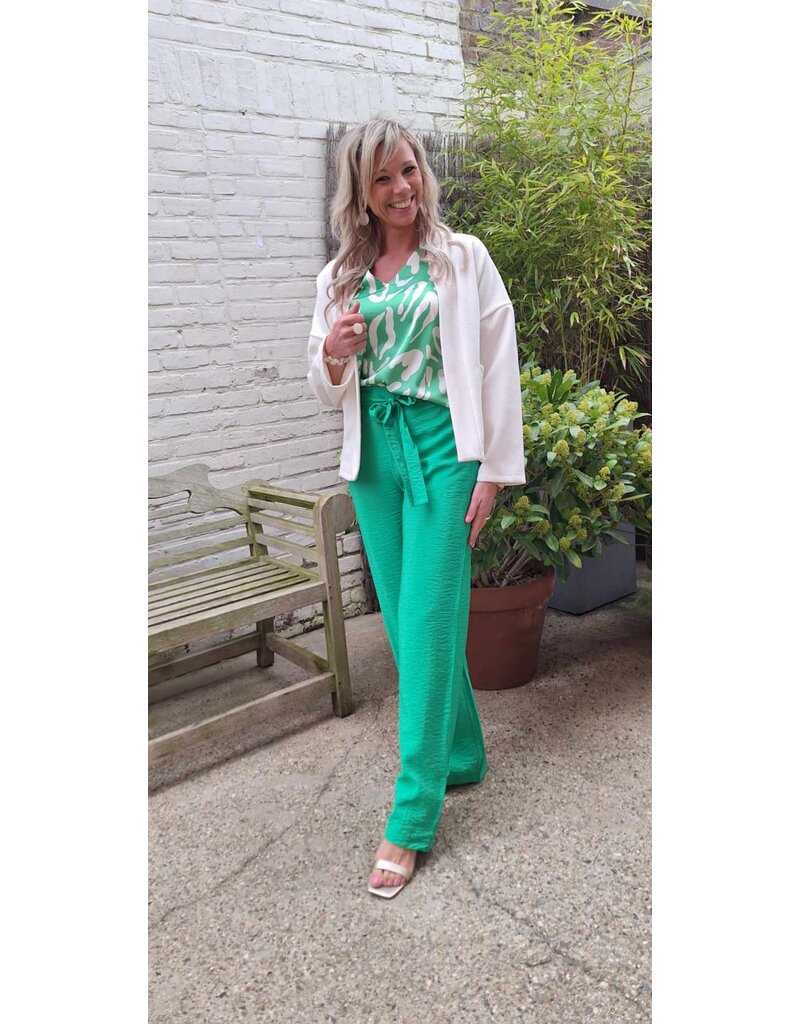 Smashed Lemon 25083 BLOUSE-GREEN/WHITE