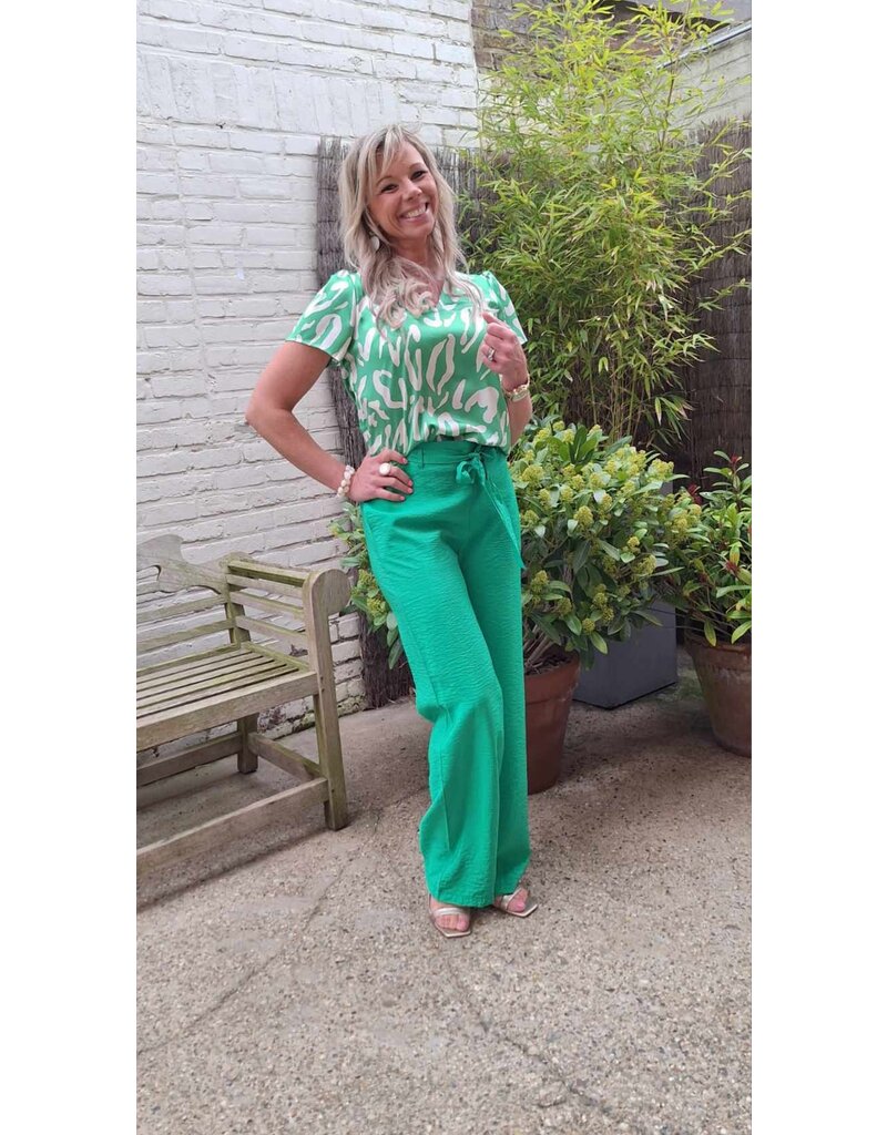 Smashed Lemon 25083 BLOUSE-GREEN/WHITE