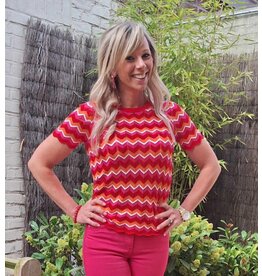 Smashed Lemon 25097 KNIT TOP-MULTICOLOR