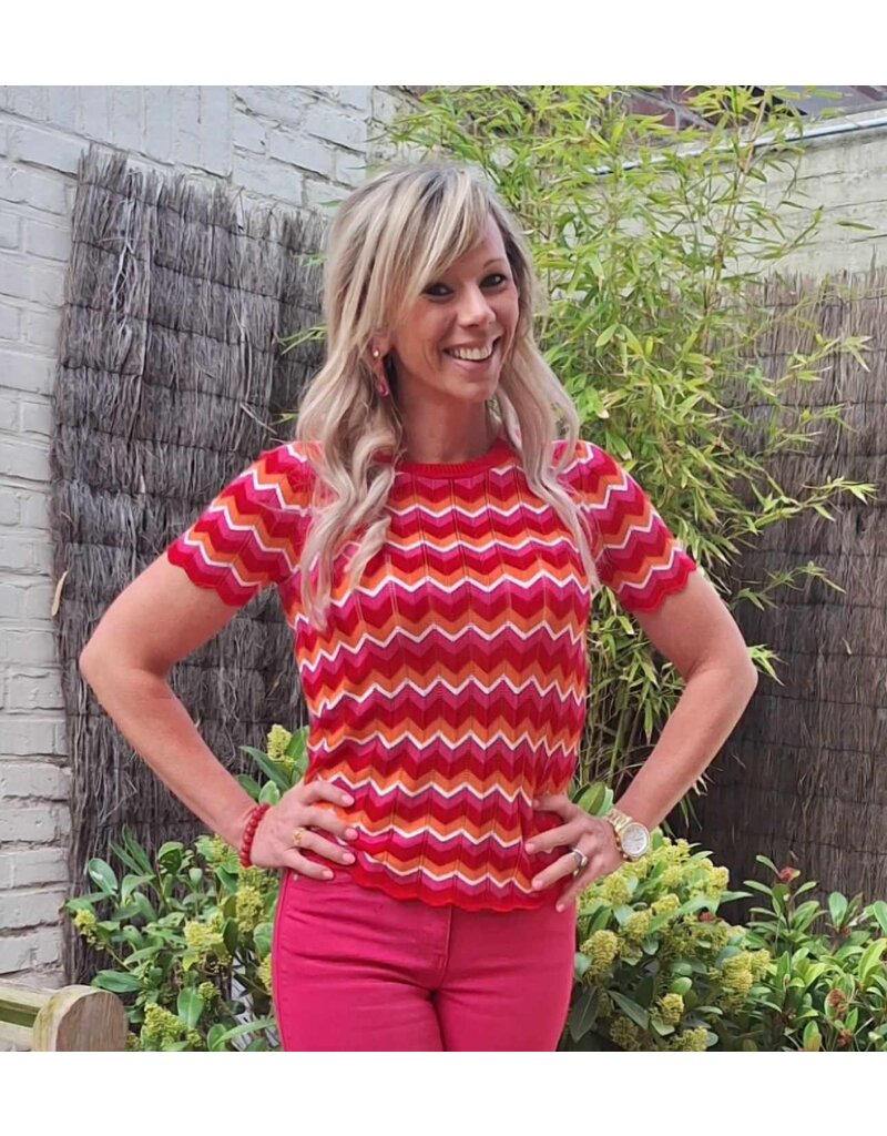 Smashed Lemon 25097 KNIT TOP-MULTICOLOR