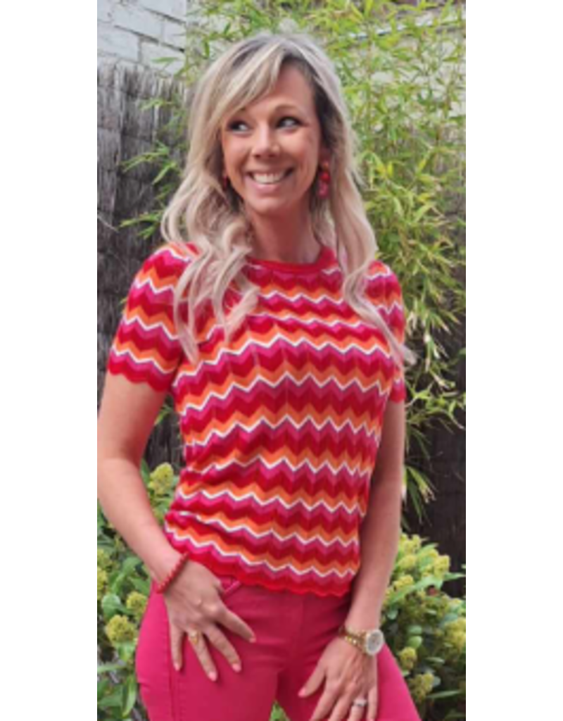 Smashed Lemon 25097 KNIT TOP-MULTICOLOR