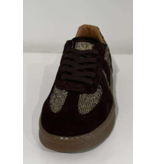 STEVE MADDEN 11004942-ELINAH-SUEDE/GOLD GLITTER