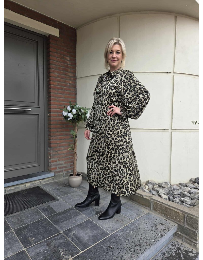 Smashed Lemon 25559-DRESS-LEOPARD
