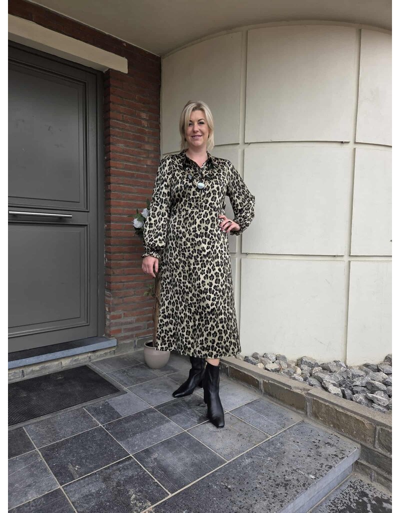 Smashed Lemon 25559-DRESS-LEOPARD