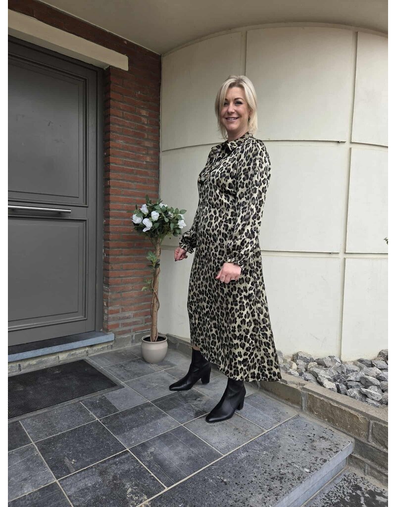 Smashed Lemon 25559-DRESS-LEOPARD