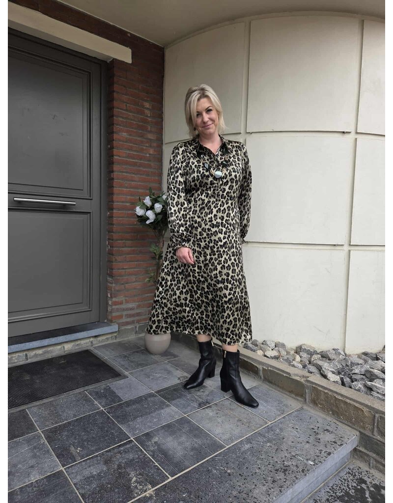 Smashed Lemon 25559-DRESS-LEOPARD