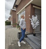 C'est Beau la Vie! 64CB2JE904-BROEK-STONE