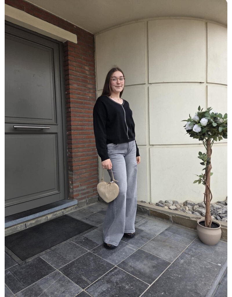 Toxik L21435-BROEK-GRIS