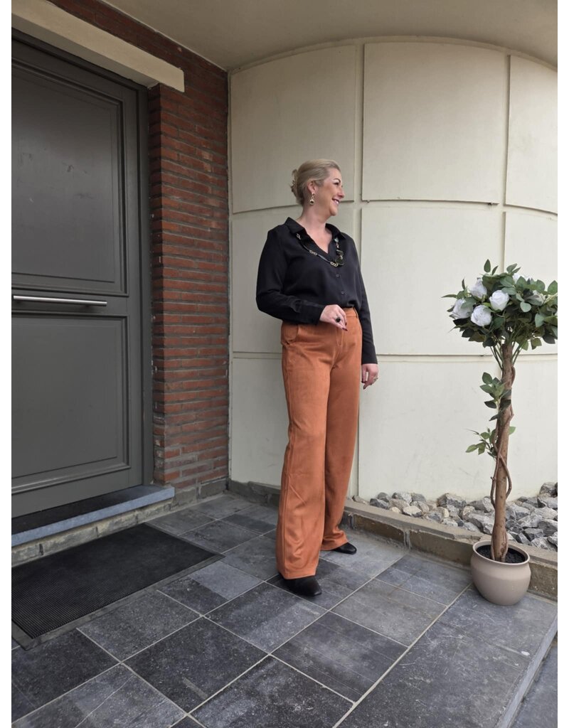 Smashed Lemon 25616-PANTS-ROEST