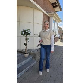 C'est Beau la Vie! 66CB2JE901-BROEK-BRUT