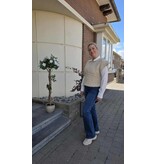 C'est Beau la Vie! 66CB2JE901-BROEK-BRUT