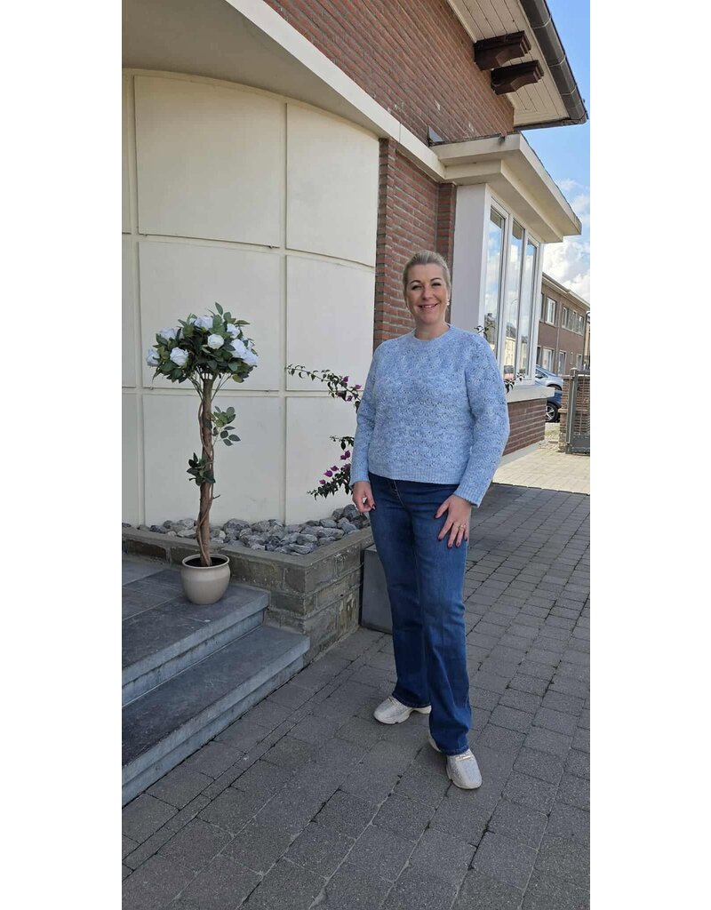 C'est Beau la Vie! 66CB2JE901-BROEK-BRUT