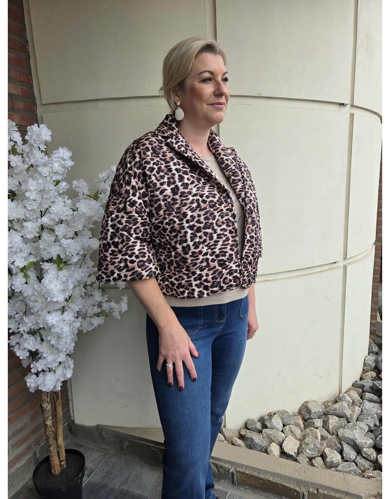 Bellita JOUBA FW252A JACKET MULTI