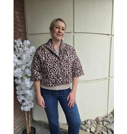 Bellita JOUBA FW252A JACKET MULTI