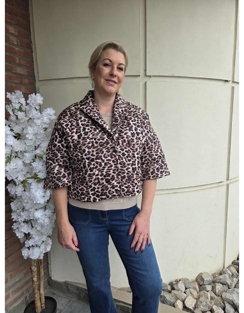 Bellita JOUBA FW252A JACKET MULTI