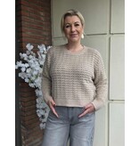 YES-ZEE 01M082-MAGLIA GIROCOLLO RELAXED-BEIGE
