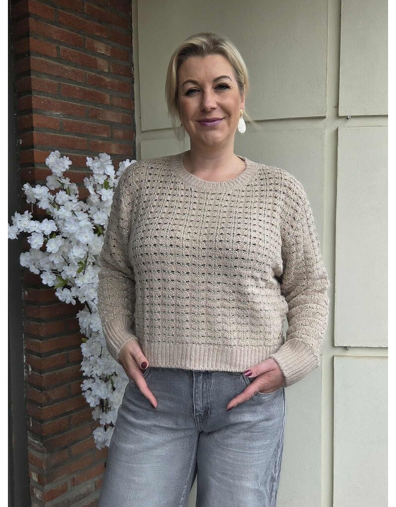 YES-ZEE 01M082-MAGLIA GIROCOLLO RELAXED-BEIGE