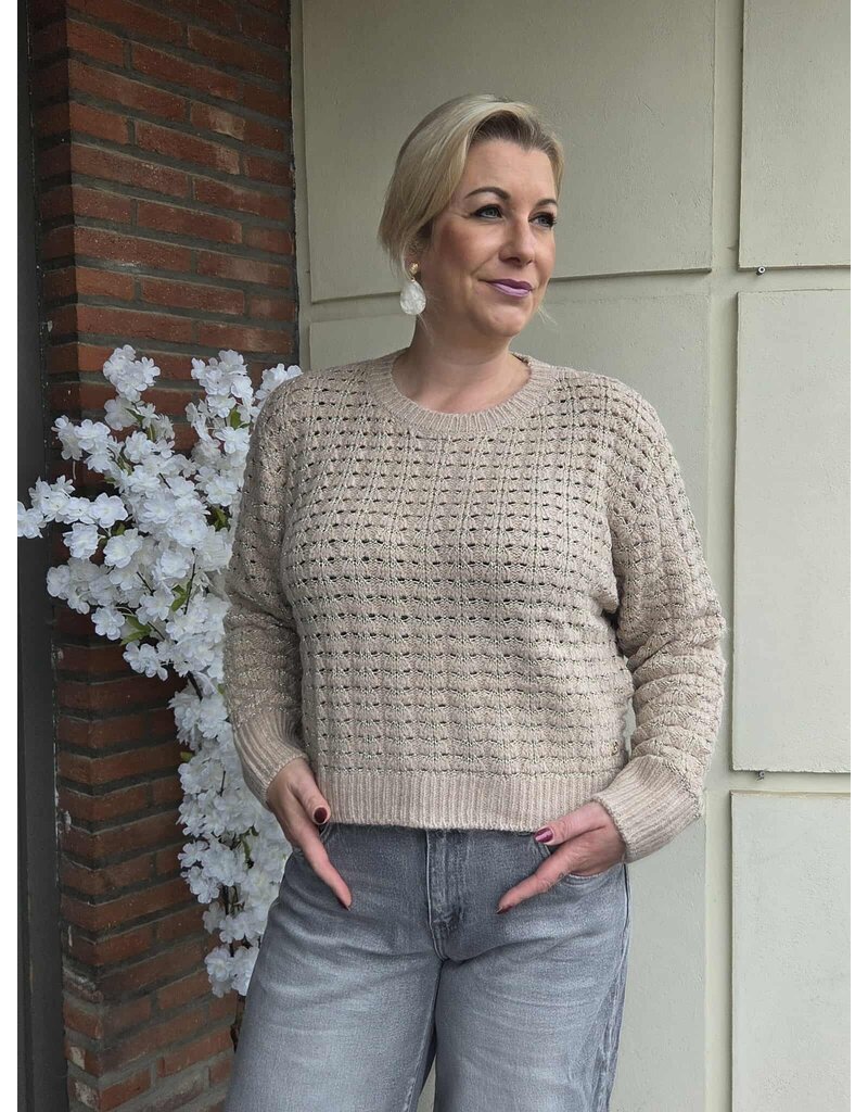 YES-ZEE 01M082-MAGLIA GIROCOLLO RELAXED-BEIGE