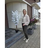 C'MELODIE SKU5469-BLOUSE-BEIGE