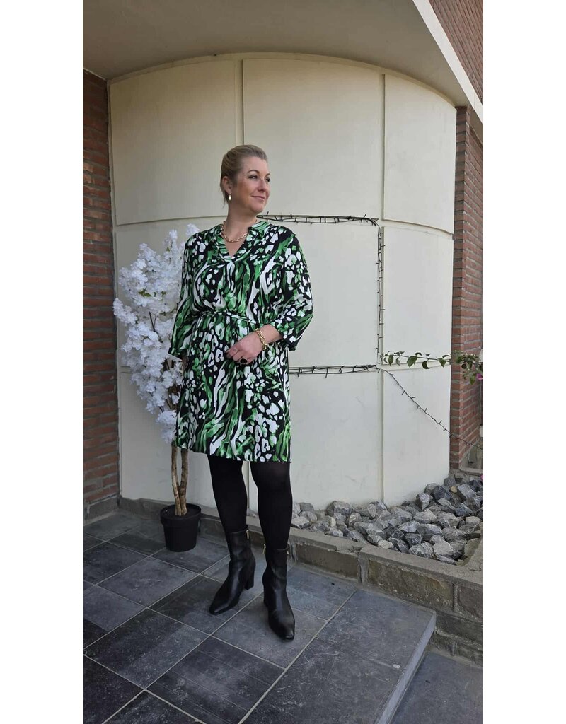 Smashed Lemon 25679-DRESS-GREEN MULTICOLOR