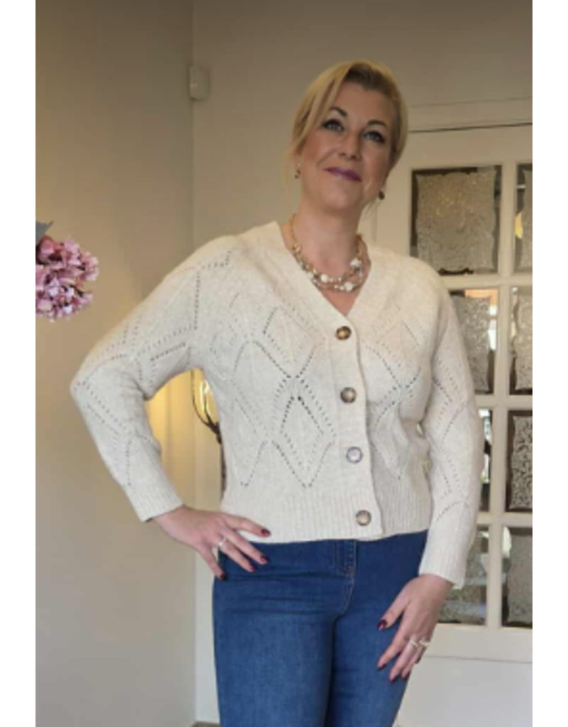 Julie Guerlande 66JG2GI300-GILET-ECRU/GLITTER