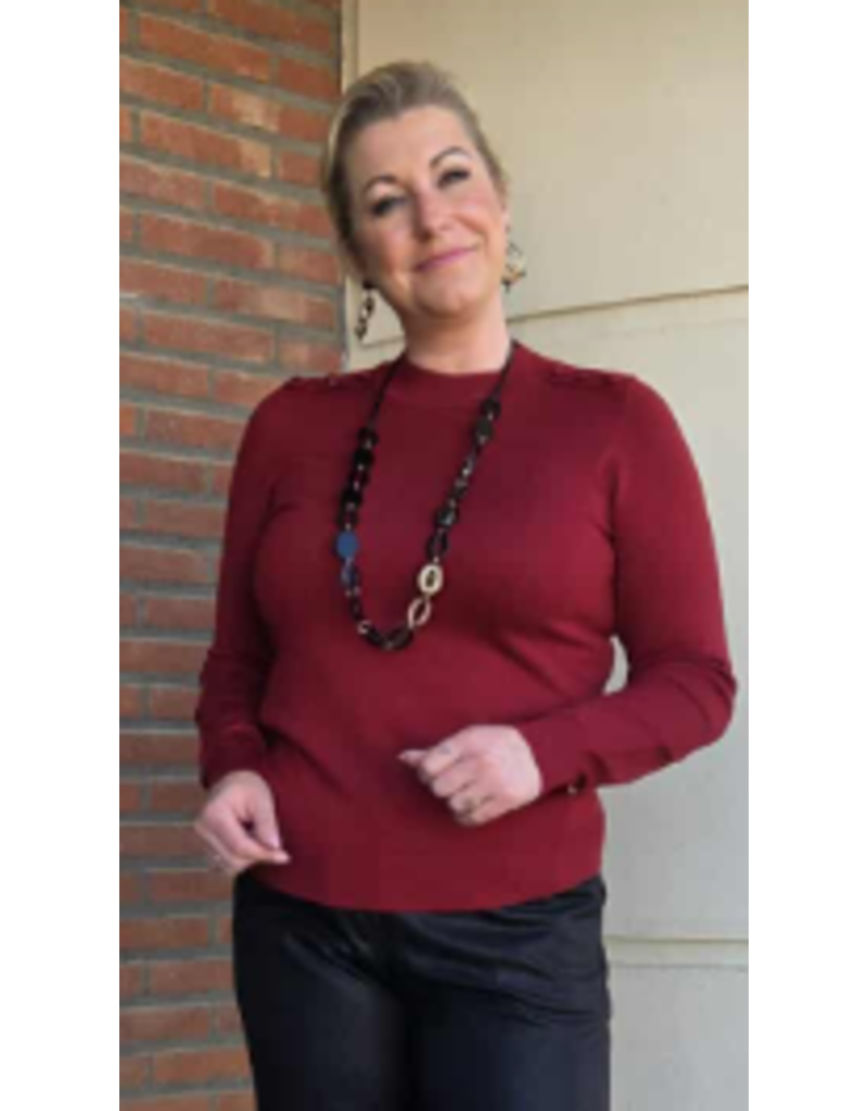 Smashed Lemon 25505-PULL-BORDEAUX