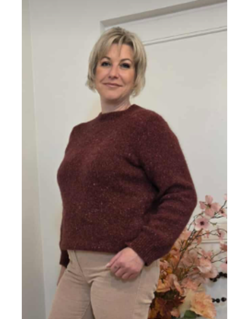 Julie Guerlande 66JG2PU501-PULL-GRENAT