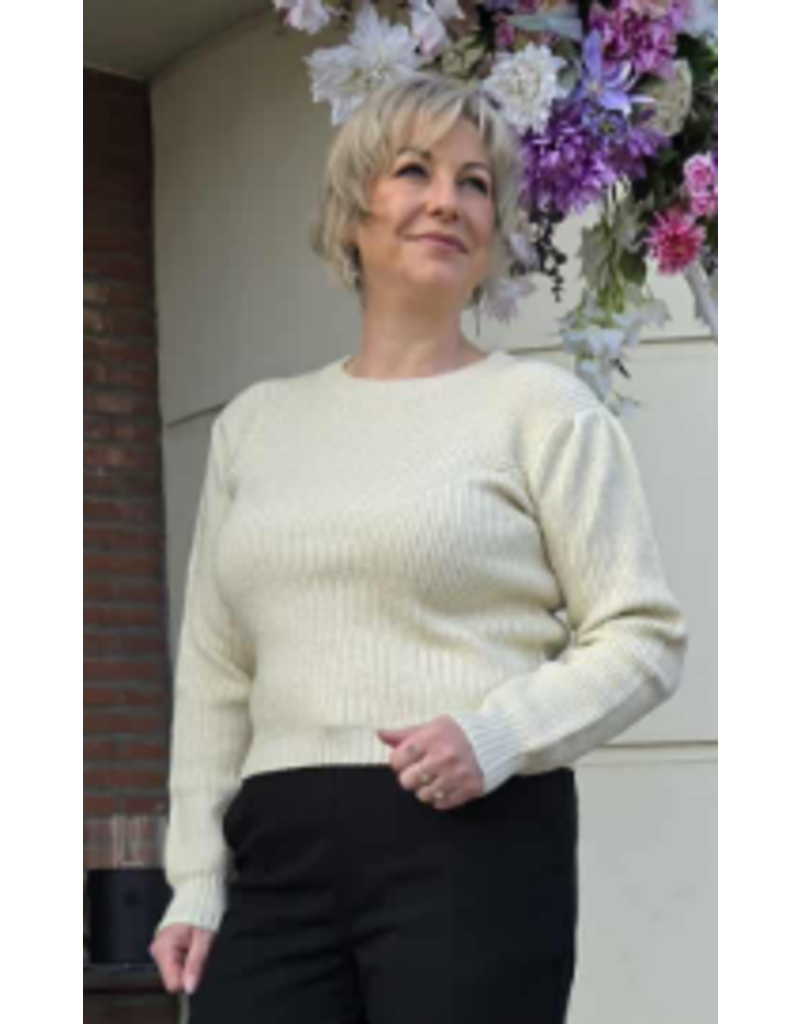 ARTIGLI ACMA002840-MAGLIA COSTINE-AVORIO LUREX