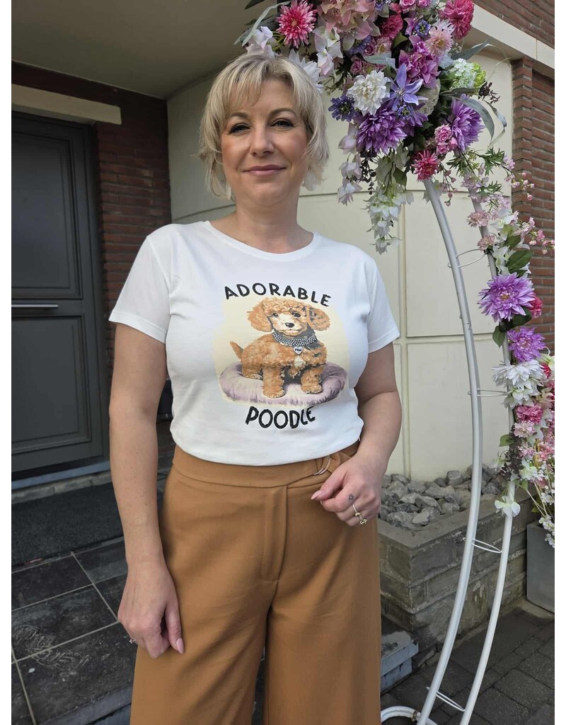 ARTIGLI ACTS003263-T-SHIRT STAMPA-PANNA