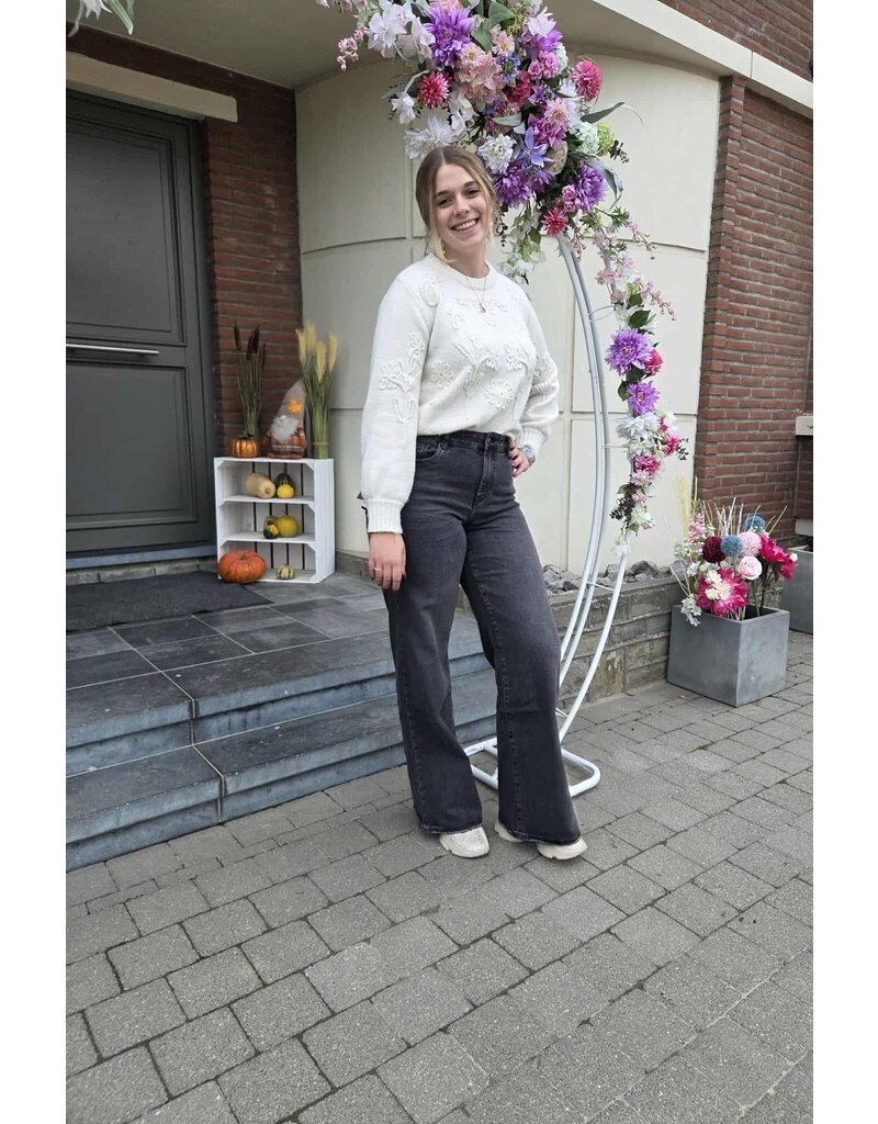 Toxik L21285-JEANS WIDE LEG-ZWART