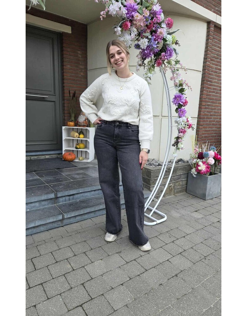 Toxik L21285-JEANS WIDE LEG-ZWART