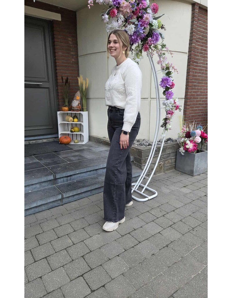 Toxik L21285-JEANS WIDE LEG-ZWART