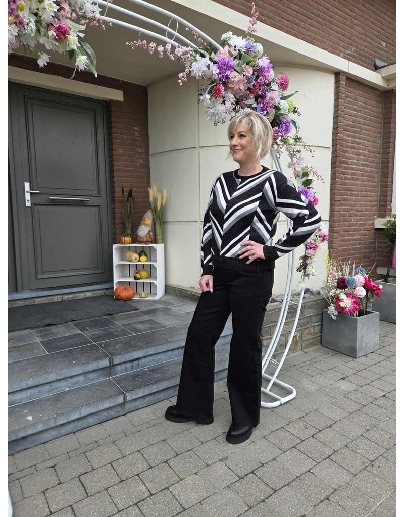 Toxik H2662-JEANS GROTE ZAKKEN-ZWART
