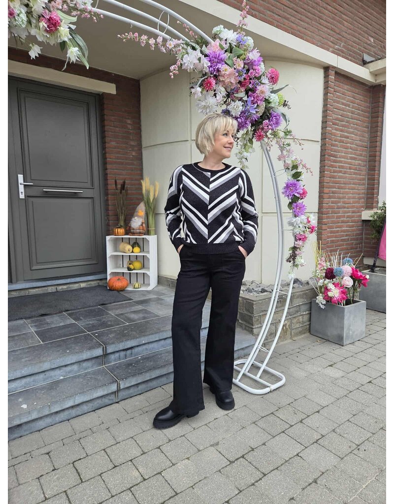 Toxik H2662-JEANS GROTE ZAKKEN-ZWART