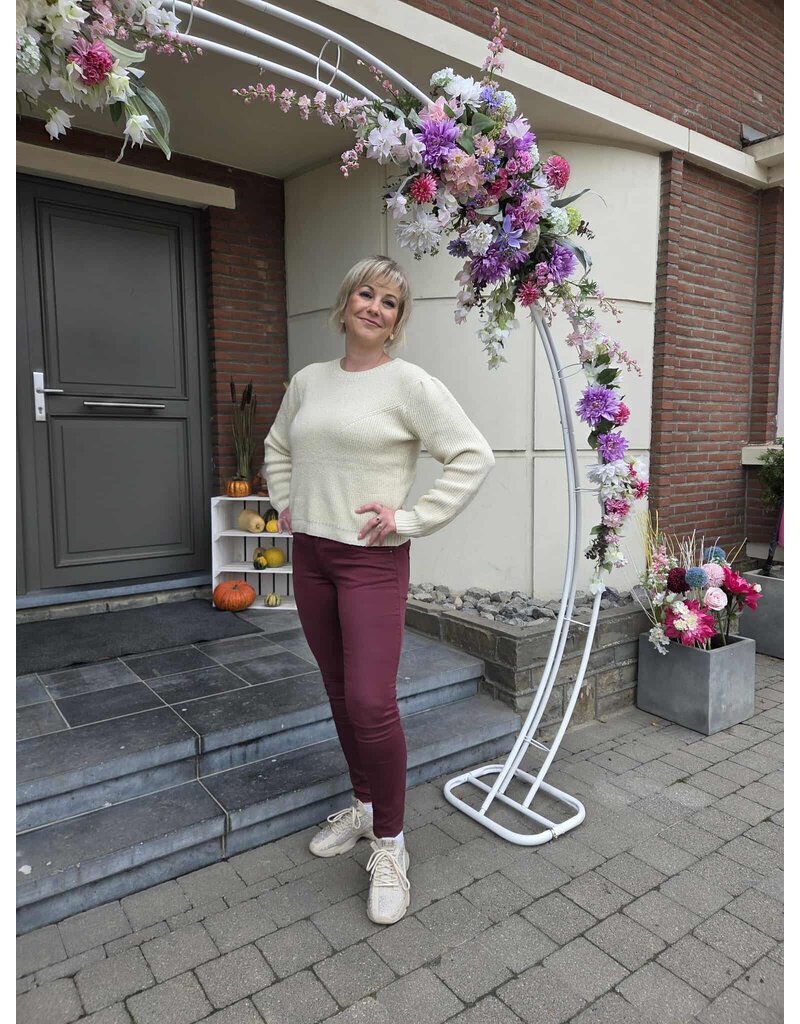 Toxik L20077-JEANS SLIM-BOURGOGNE