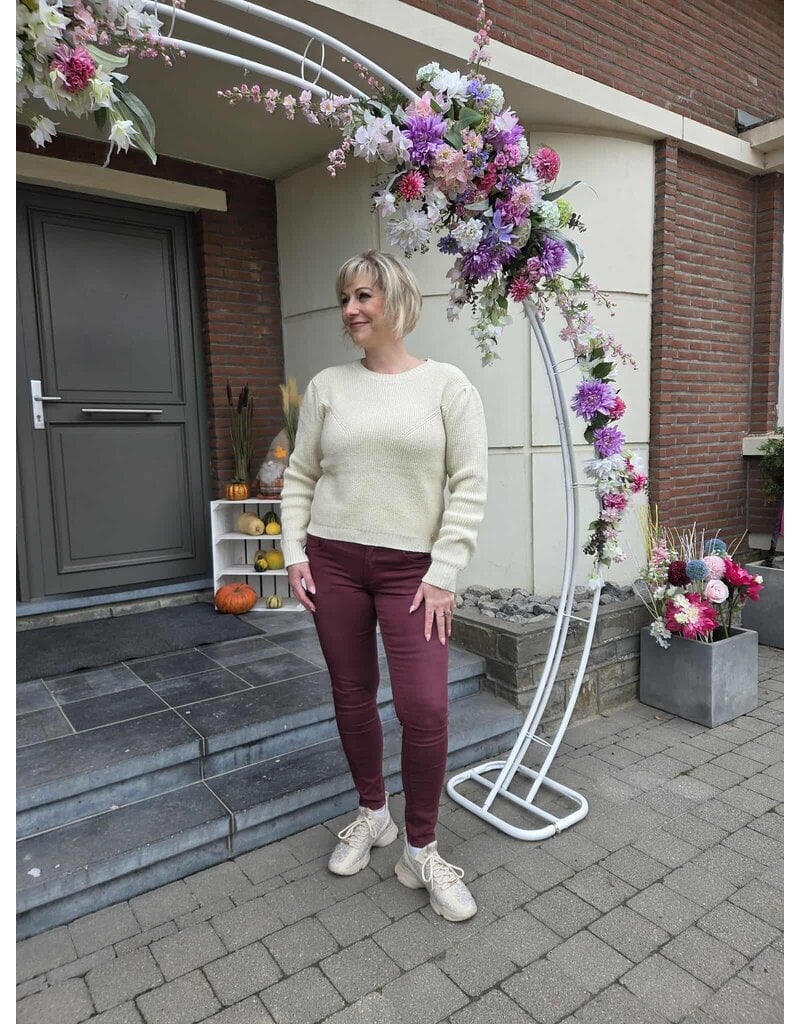 Toxik L20077-JEANS SLIM-BOURGOGNE